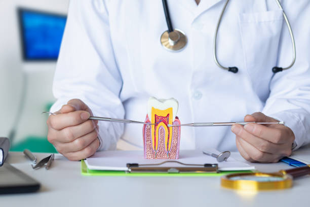Best Weekend Emergency Dentist in Latrobe, PA